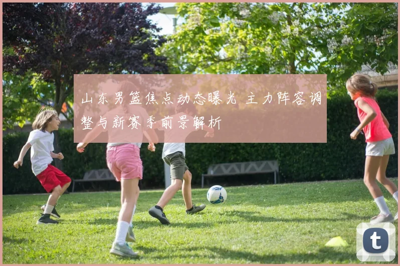 山东男篮焦点动态曝光 主力阵容调整与新赛季前景解析