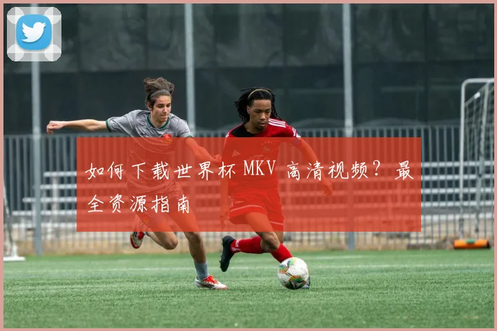 如何下载世界杯 MKV 高清视频?最全资源指南