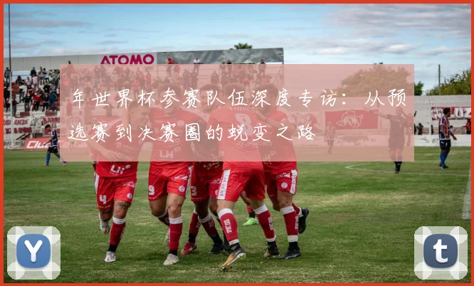 年世界杯参赛队伍深度专访：从预选赛到决赛圈的蜕变之路