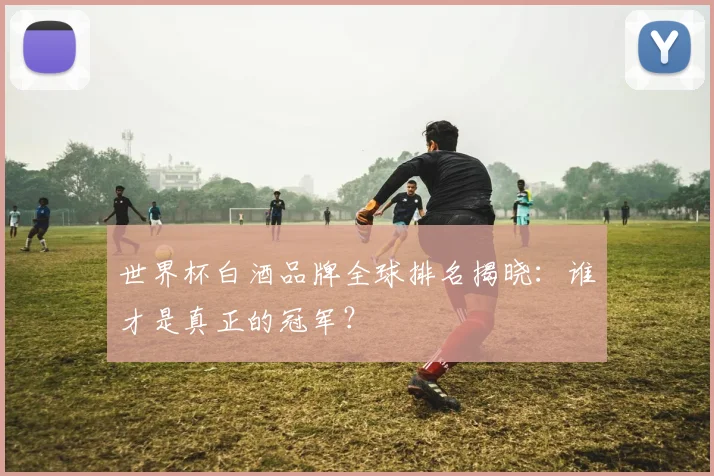 世界杯白酒品牌全球排名揭晓：谁才是真正的冠军？