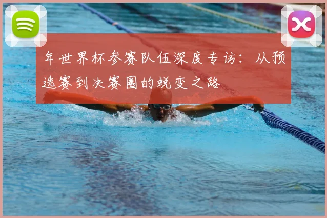 年世界杯参赛队伍深度专访：从预选赛到决赛圈的蜕变之路