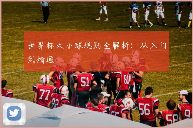 世界杯大小球规则全解析：从入门到精通