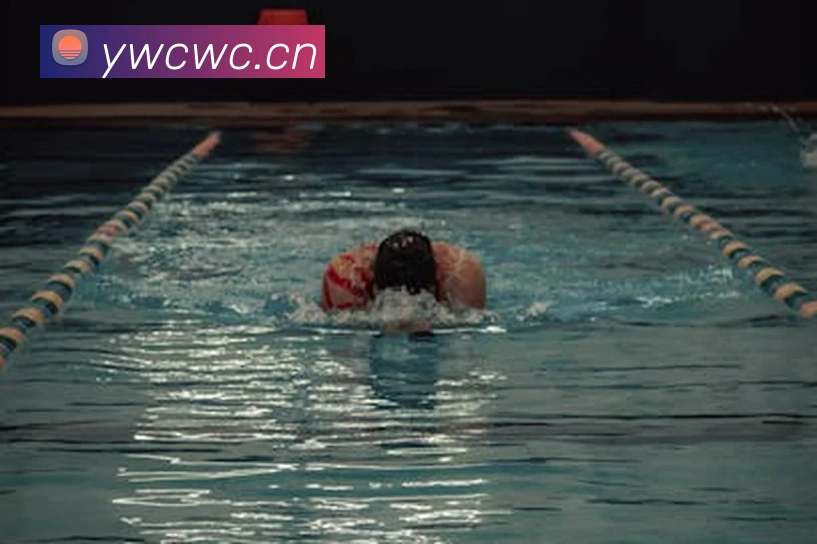 开云app在线网页版入口平台生态图