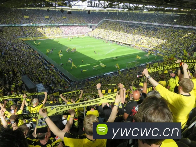 开云app在线网页版入口APP 封面图